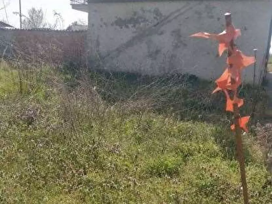 Immagine 4 di Villetta a schiera in vendita  in Via Regione Rinalda a Castelnovetto