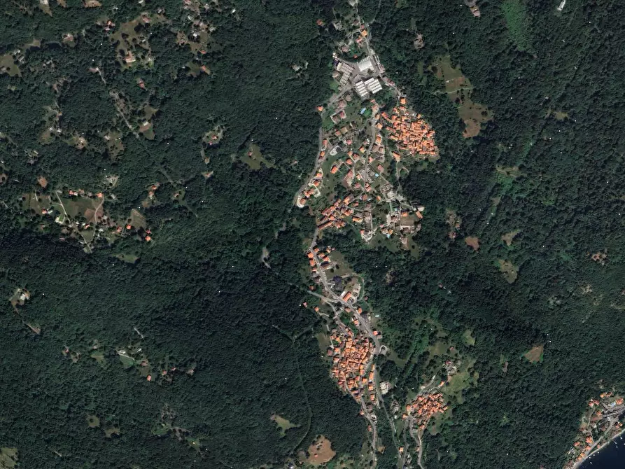 Immagine 3 di Terreno agricolo in vendita  in Località Plesio a Plesio