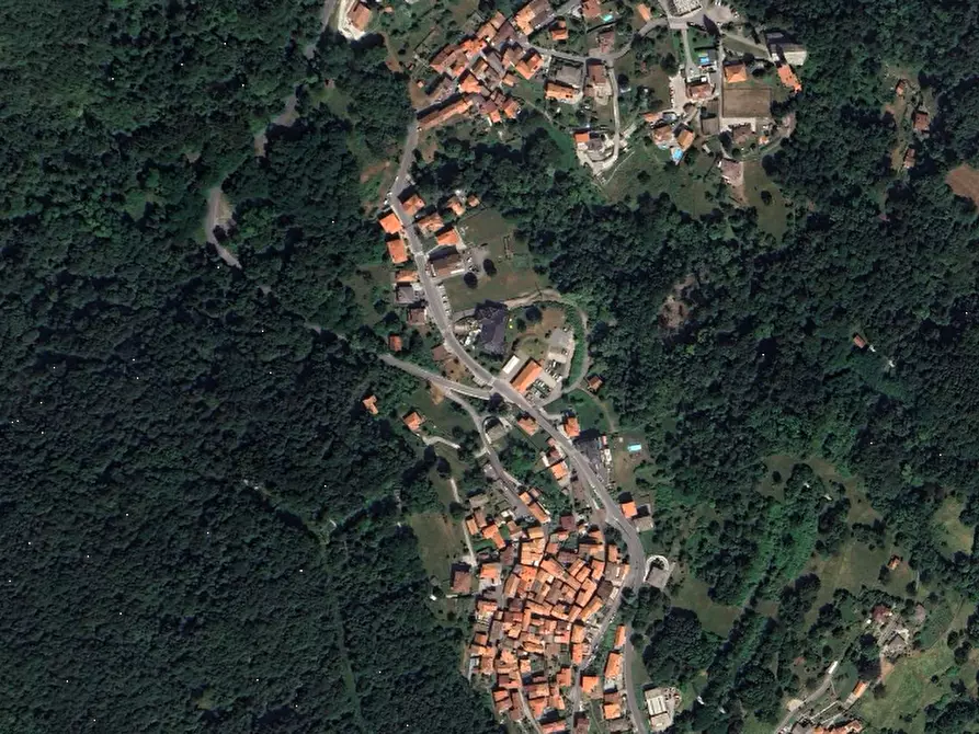 Immagine 4 di Terreno agricolo in vendita  in Località Plesio a Plesio