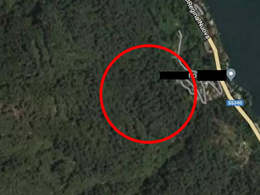 Immagine 6 di Terreno agricolo in vendita  in Località Brienno a Brienno