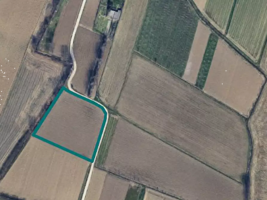 Immagine 2 di Terreno agricolo in vendita  in Via San Martino e Solferino a Ponte San Nicolò