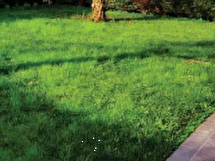 Immagine 5 di Porzione di casa in vendita  in Via Cavalletto a Sant'angelo Di Piove Di Sacco