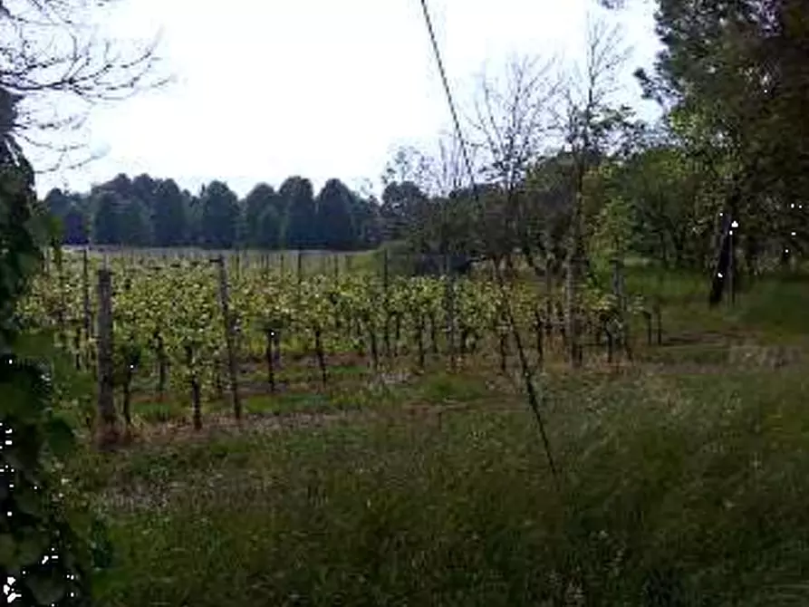 Immagine 1 di Terreno agricolo in vendita  in Località Caneva a Caneva