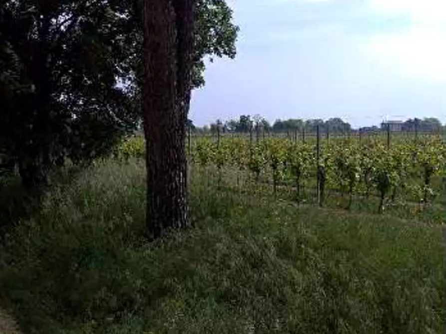 Immagine 2 di Terreno agricolo in vendita  in Località Caneva a Caneva