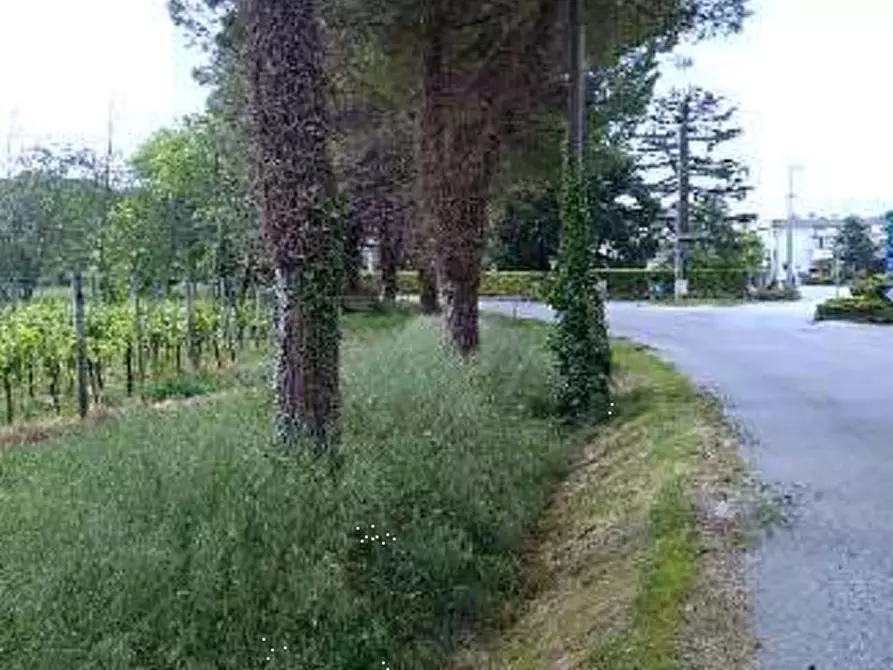 Immagine 7 di Terreno agricolo in vendita  in Località Caneva a Caneva