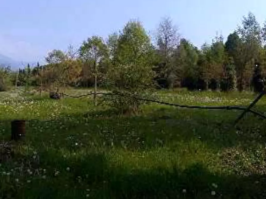 Immagine 2 di Terreno agricolo in vendita  in Località Caneva a Caneva