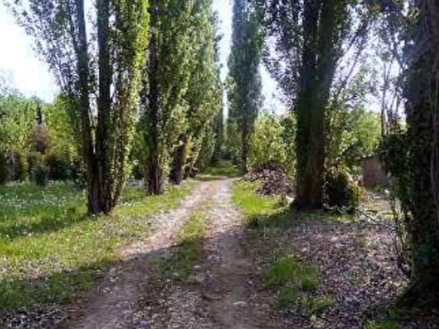Immagine 4 di Terreno agricolo in vendita  in Località Caneva a Caneva