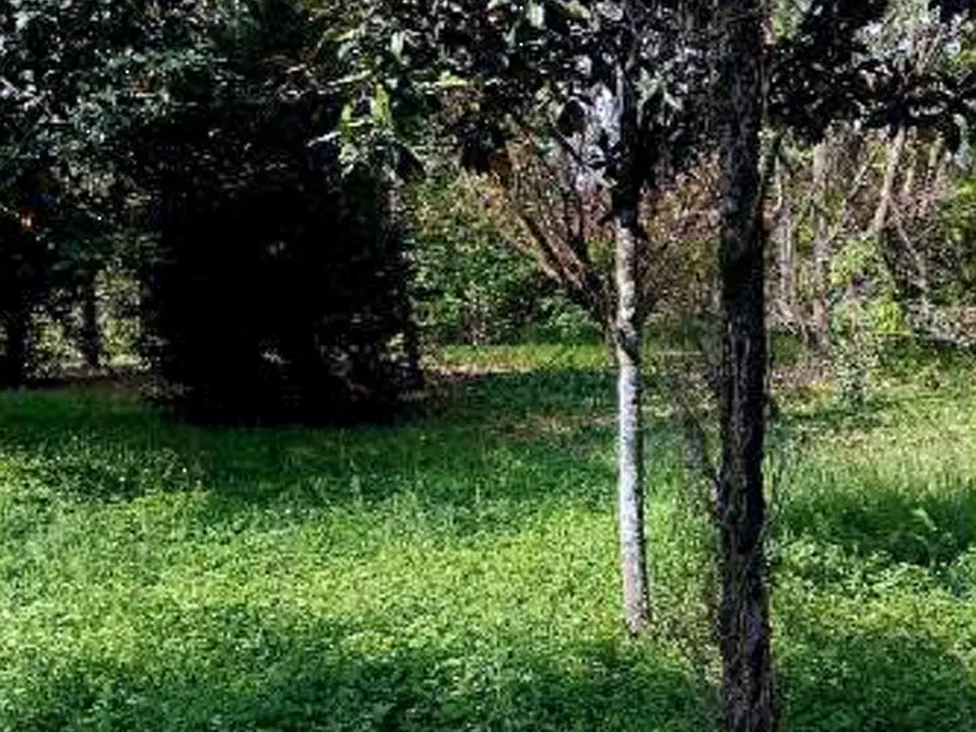 Immagine 12 di Terreno agricolo in vendita  in Località Caneva a Caneva