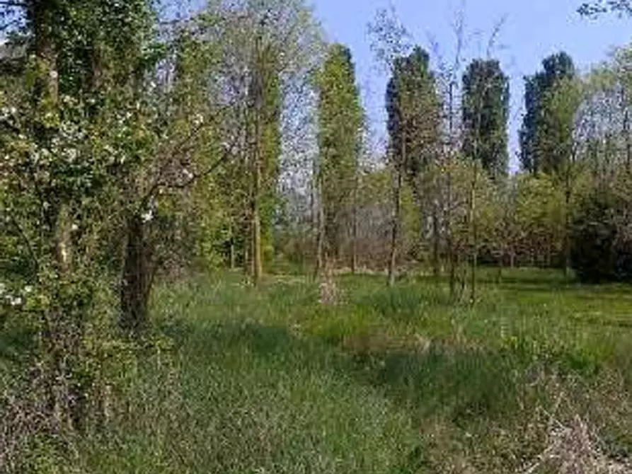 Immagine 15 di Terreno agricolo in vendita  in Località Caneva a Caneva
