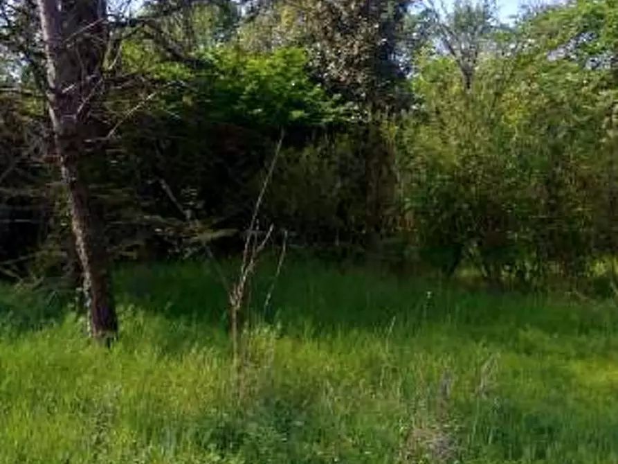 Immagine 16 di Terreno agricolo in vendita  in Località Caneva a Caneva