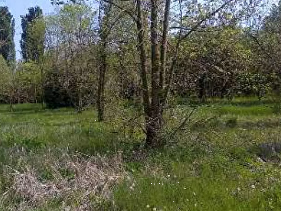 Immagine 18 di Terreno agricolo in vendita  in Località Caneva a Caneva