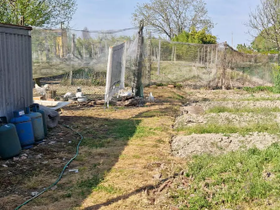 Immagine 9 di Casa indipendente in vendita  in Via di Mezzo a Castelmassa
