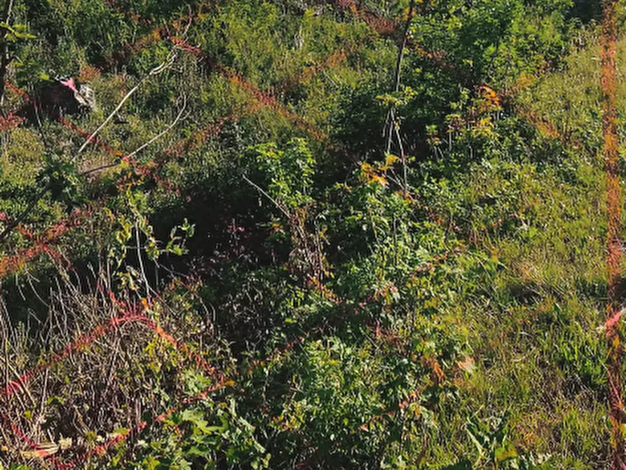 Immagine 6 di Terreno edificabile in vendita  in Via San Defendente a Valmadrera
