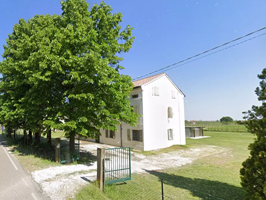 Immagine 7 di Casa indipendente in vendita  in Via Spinea a Castelnovo Bariano