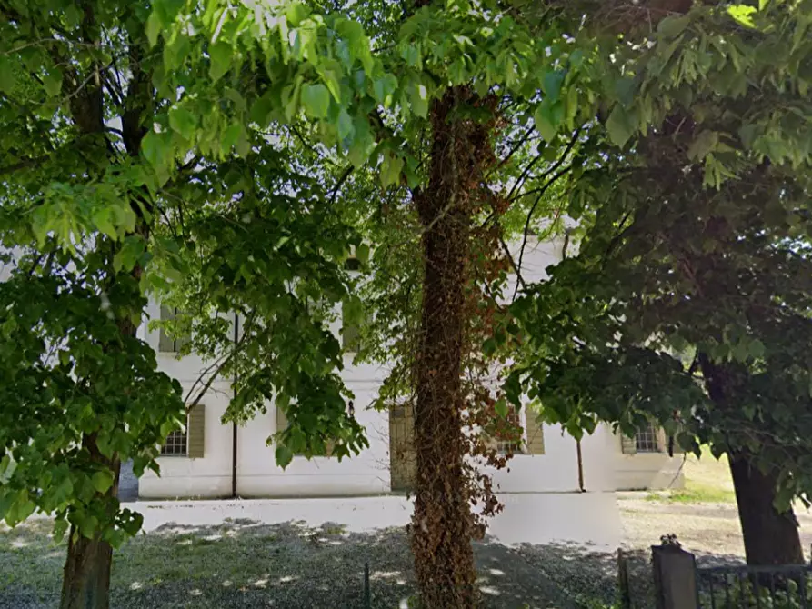 Immagine 10 di Casa indipendente in vendita  in Via Spinea a Castelnovo Bariano