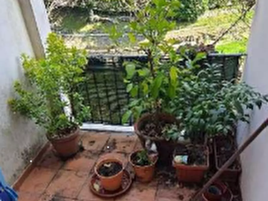 Immagine 6 di Appartamento in vendita  in Via Guglielmo Marconi  a Brinzio