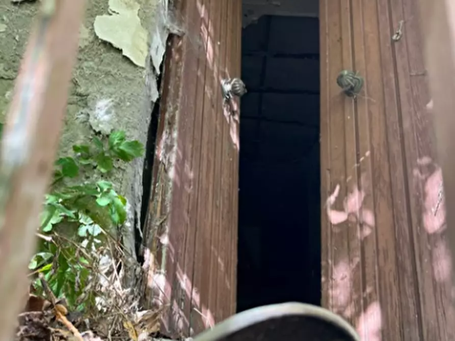 Immagine 8 di Appartamento in vendita  in SP486R a Montefiorino