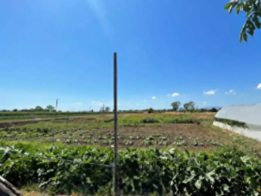 Immagine 4 di Appartamento in vendita  in Via San Vito a Rimini