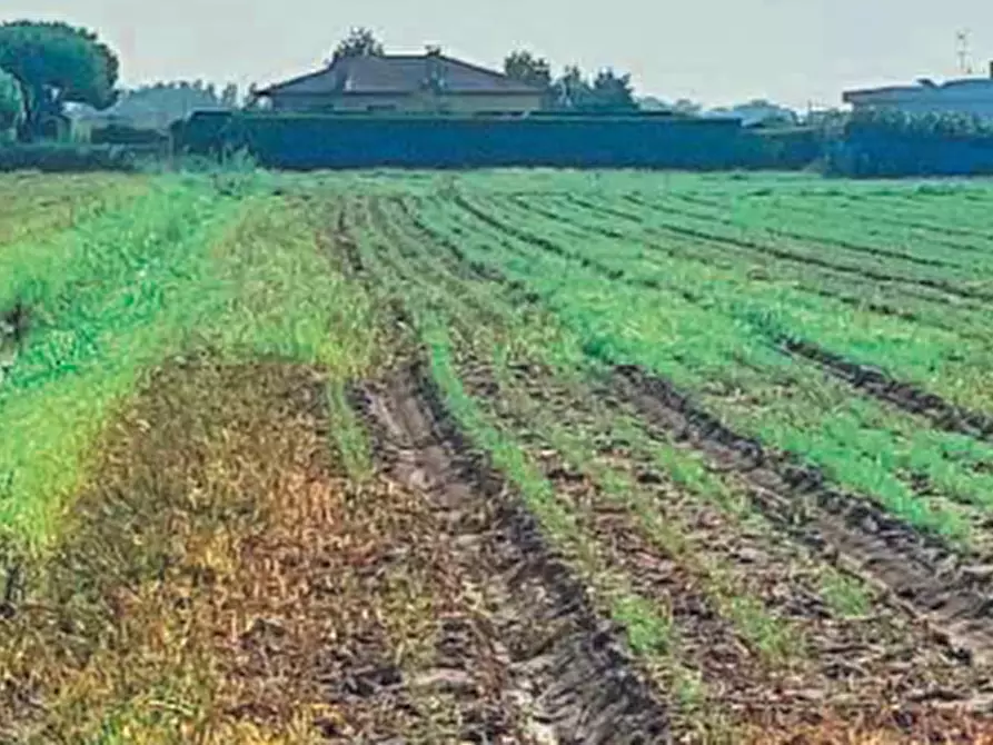 Immagine 5 di Terreno edificabile in vendita  in Via San Giuseppe a Chioggia