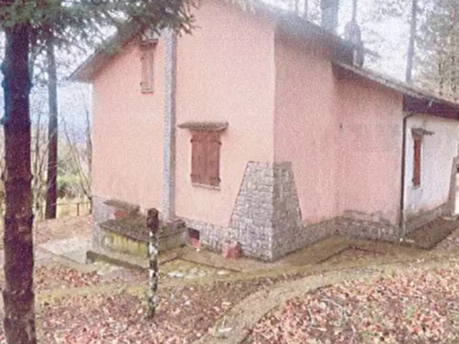 Immagine 5 di Villa in vendita  in Via della Vetta a Santa Fiora