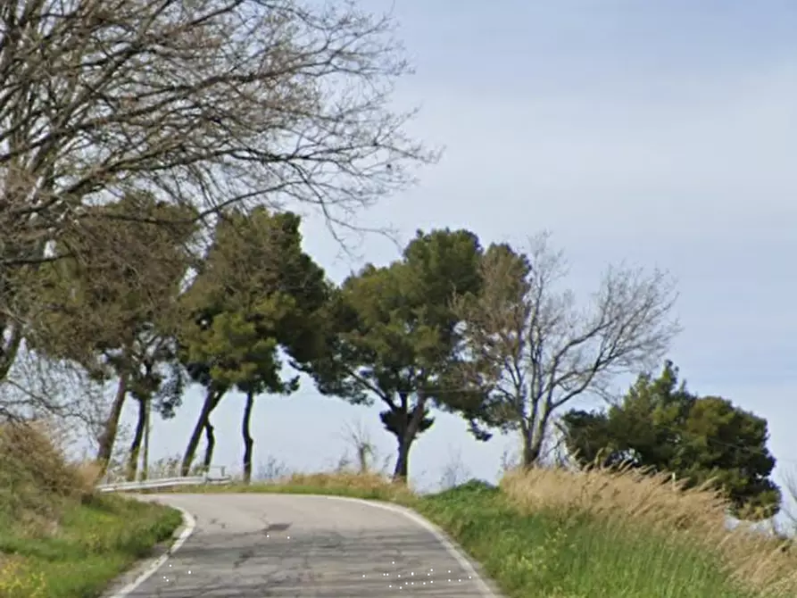 Immagine 16 di Appartamento in vendita  in Via Santa Barbara  a Tavullia