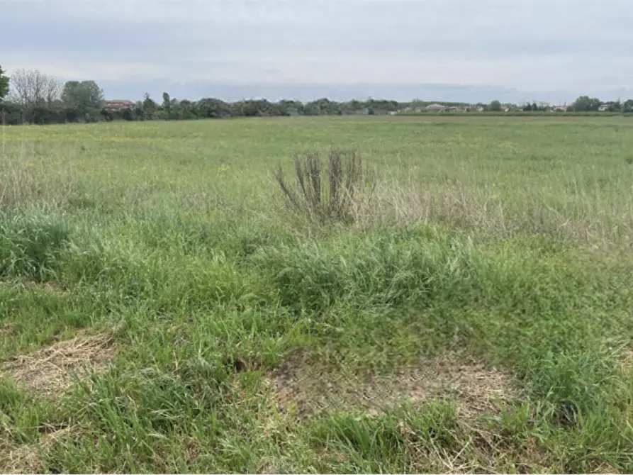Immagine 2 di Terreno edificabile in vendita  in Via E. Ferrari a Bagnacavallo