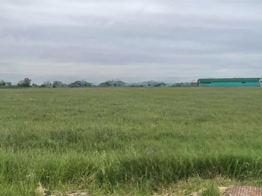 Immagine 1 di Terreno edificabile in vendita  in Via E. Ferrari a Bagnacavallo