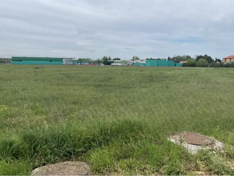 Immagine 3 di Terreno edificabile in vendita  in Via E. Ferrari a Bagnacavallo