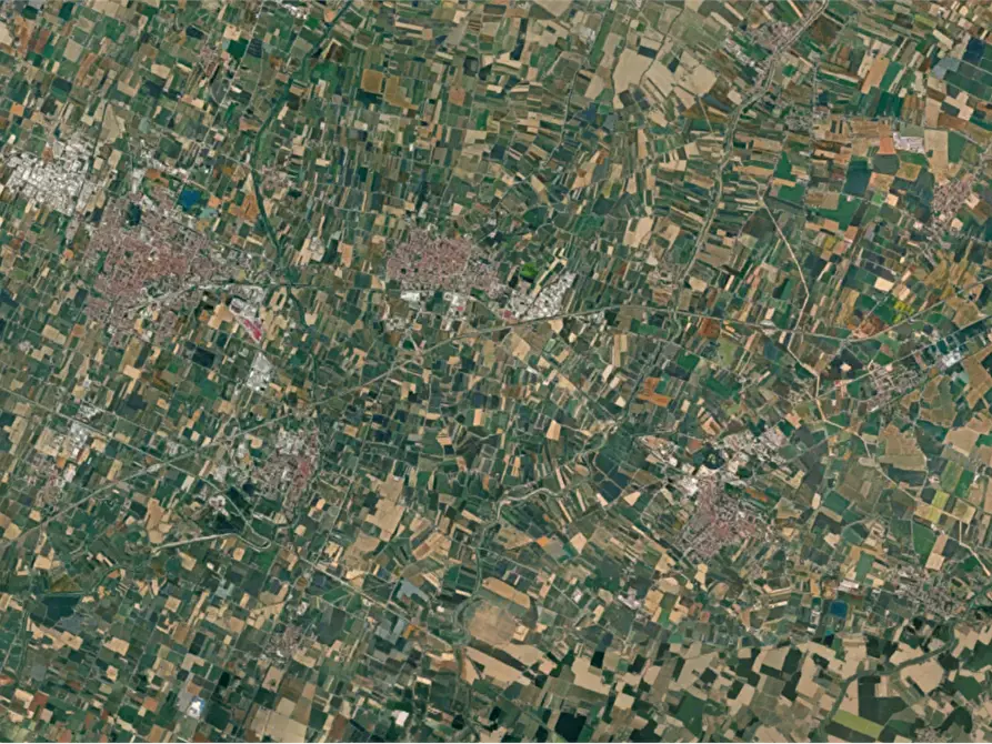 Immagine 9 di Terreno edificabile in vendita  in Via E. Ferrari a Bagnacavallo