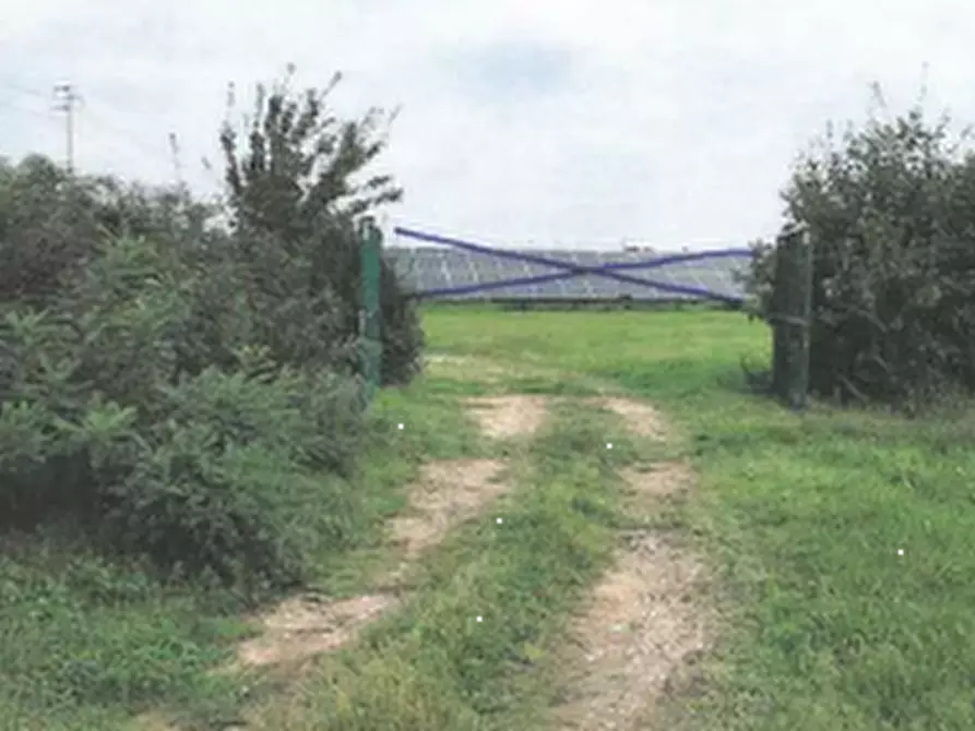 Immagine 3 di Terreno agricolo in vendita  in Via Lombardina a Lugo