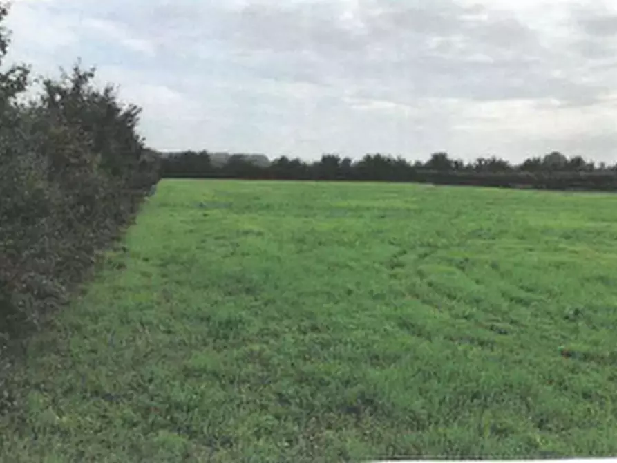 Immagine 1 di Terreno agricolo in vendita  in Via Lombardina a Lugo