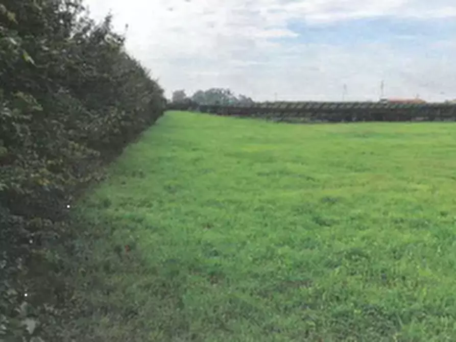 Immagine 5 di Terreno agricolo in vendita  in Via Lombardina a Lugo