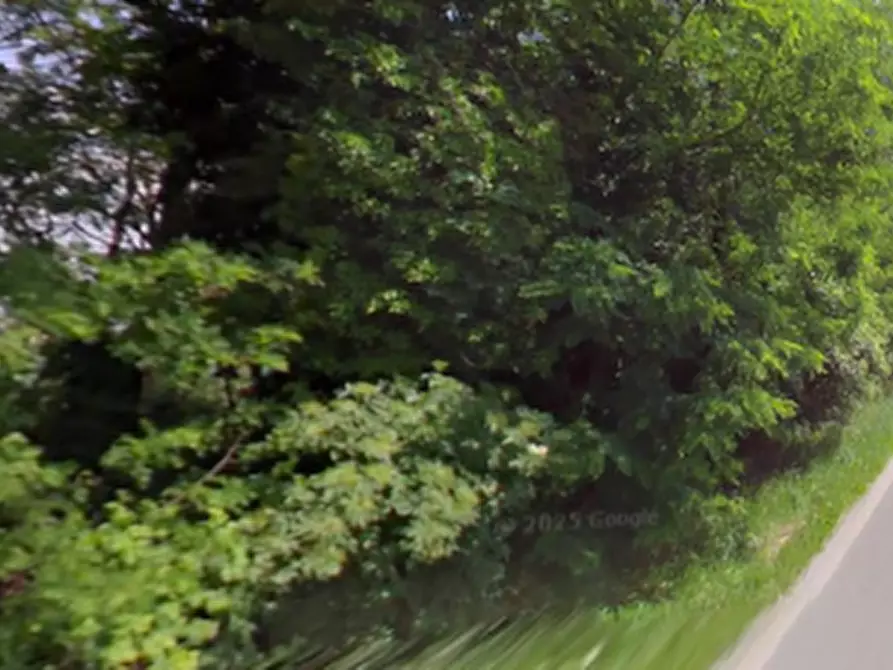 Immagine 4 di Terreno agricolo in vendita  in strada costiera a Cornate D'adda