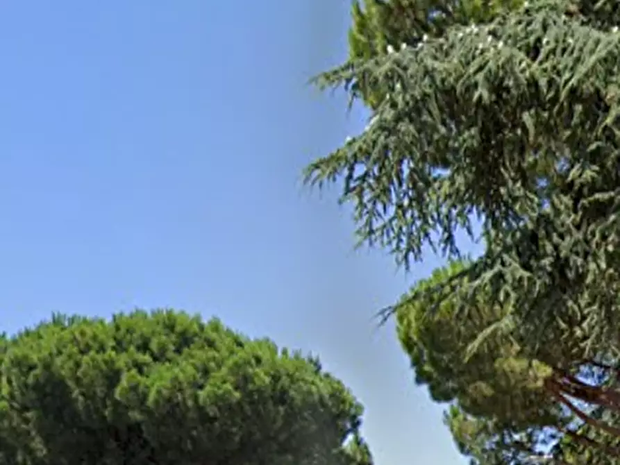 Immagine 15 di Appartamento in vendita  in Piazza Tre Martiri a Cervia