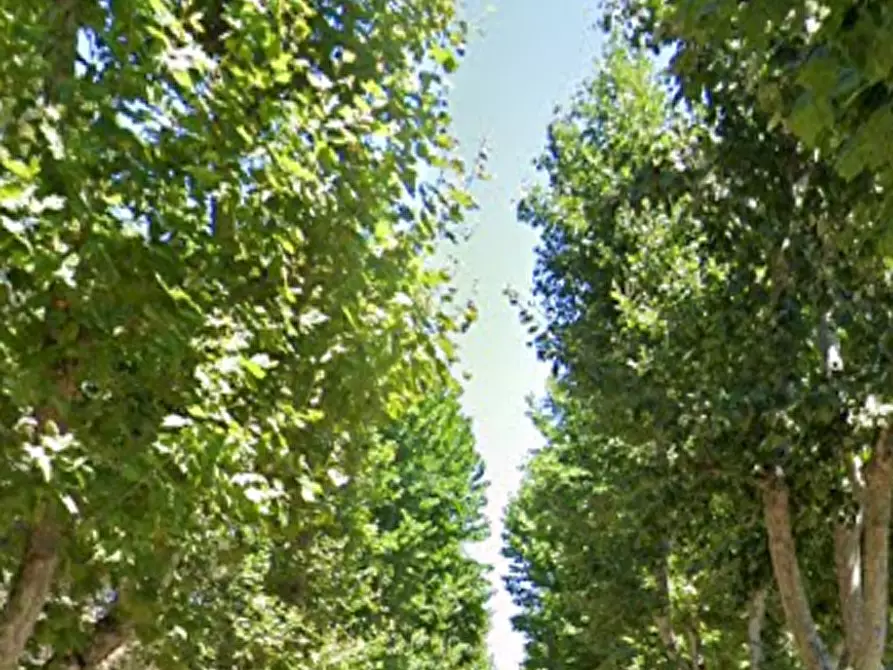 Immagine 17 di Appartamento in vendita  in Piazza Tre Martiri a Cervia