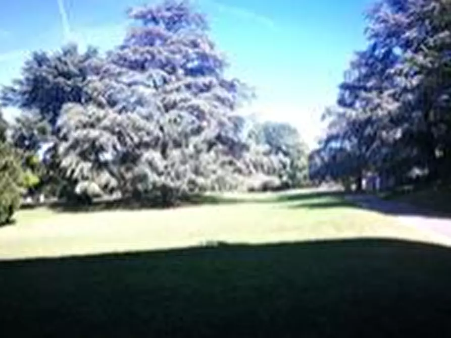 Immagine 18 di Villa in vendita  in Via Giousè Carducci a Briosco