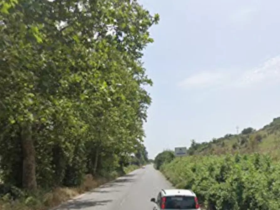 Immagine 7 di Terreno agricolo in vendita  in Via Tiberina a Roma