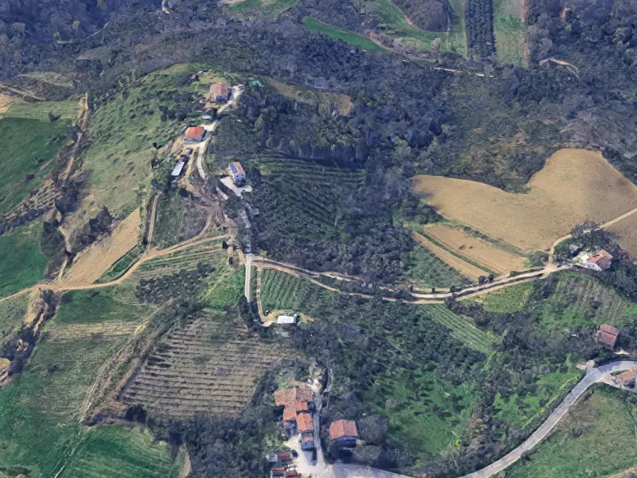 Immagine 6 di Terreno agricolo in vendita  in Via Cannelle a Saludecio