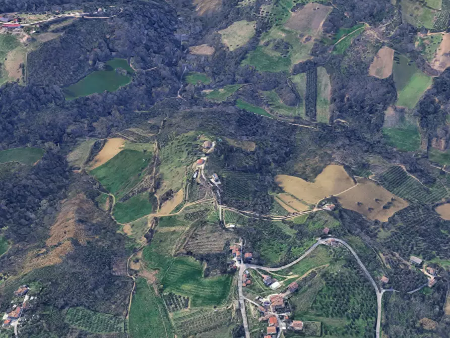 Immagine 8 di Terreno agricolo in vendita  in Via Cannelle a Saludecio
