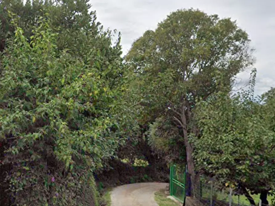 Immagine 14 di Appartamento in vendita  in Via Provinciale Grossetana a Scansano