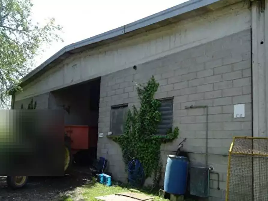 Immagine 4 di Rustico / casale in vendita  in Via Verdi  a Polesine Zibello