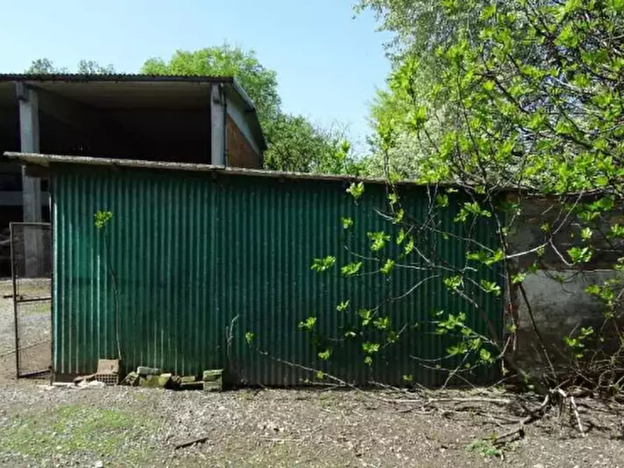 Immagine 12 di Rustico / casale in vendita  in Via Verdi  a Polesine Zibello