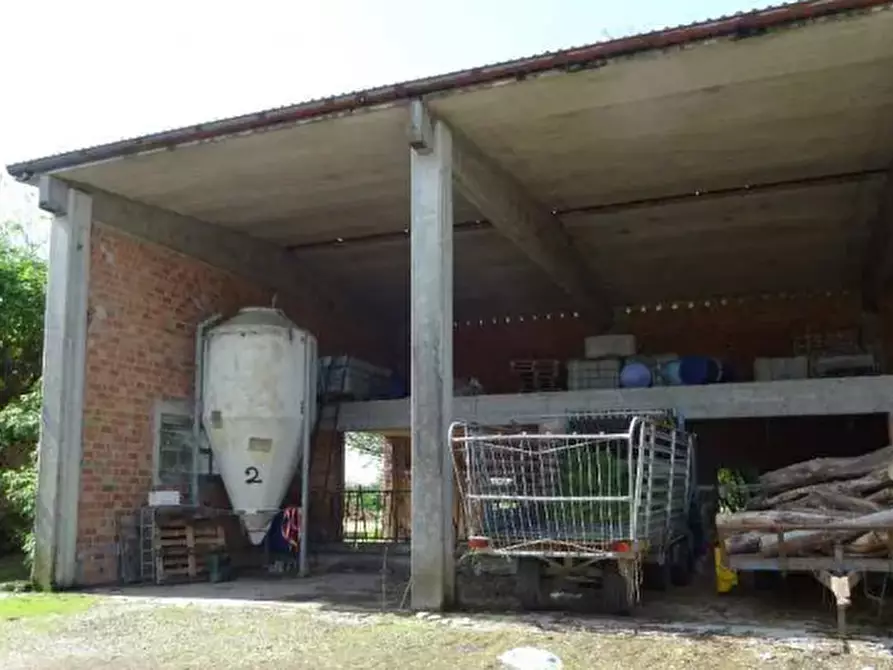 Immagine 13 di Rustico / casale in vendita  in Via Verdi  a Polesine Zibello