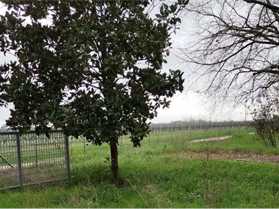 Immagine 3 di Appartamento in vendita  in Via Reale Lavezzola a Alfonsine