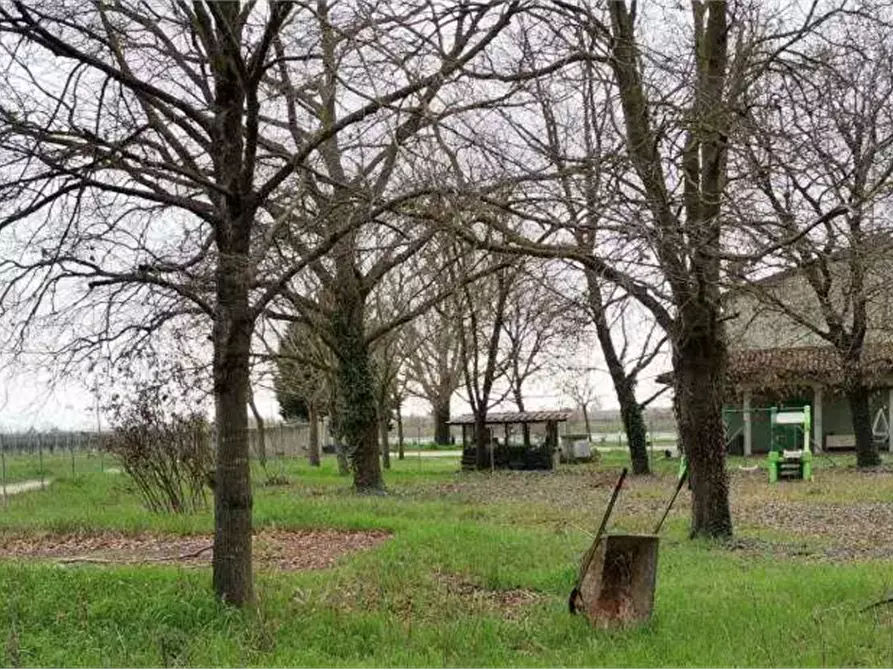 Immagine 4 di Appartamento in vendita  in Via Reale Lavezzola a Alfonsine