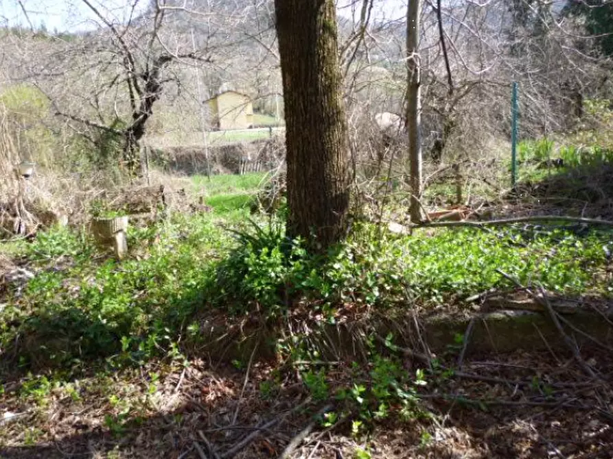 Immagine 5 di Appartamento in vendita  in Frazione Baigno a Camugnano