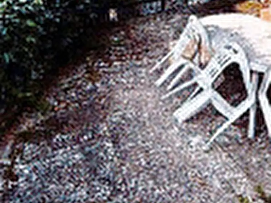 Immagine 4 di Casa indipendente in vendita  in Frazione Mossago  a Val Di Nizza