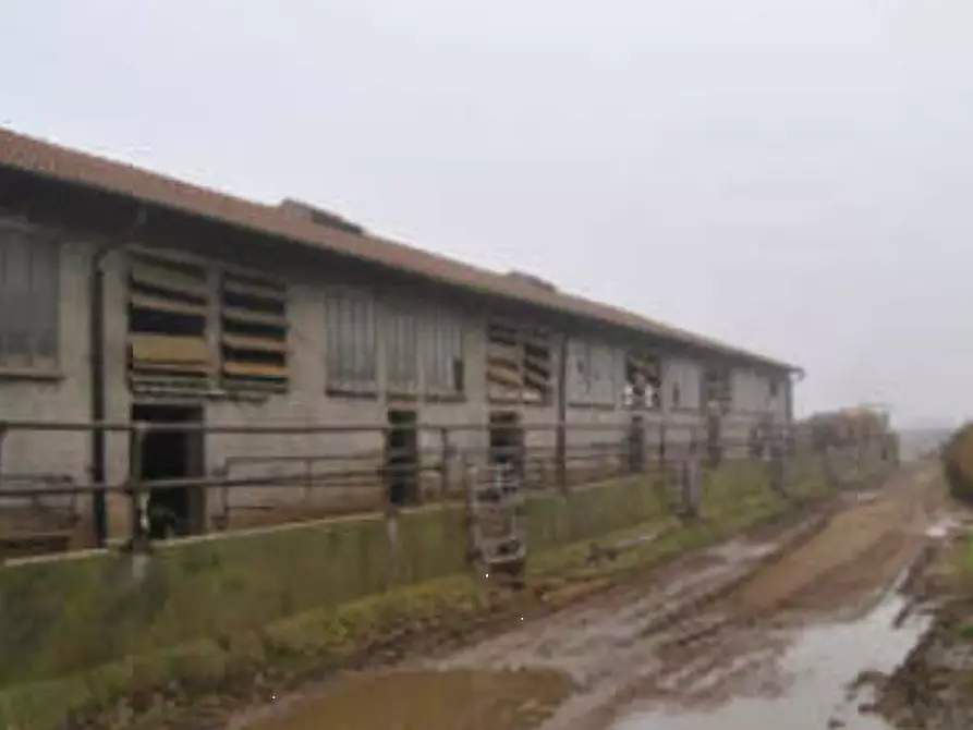 Immagine 15 di Rustico / casale in vendita  in Via Venenta a Argelato