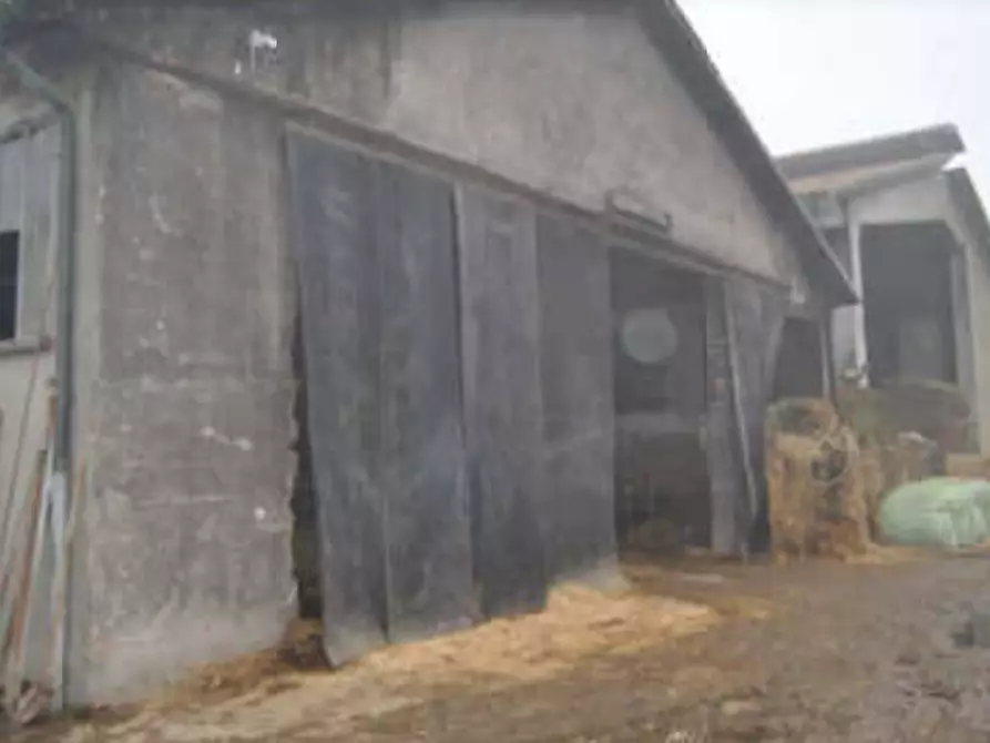 Immagine 16 di Rustico / casale in vendita  in Via Venenta a Argelato