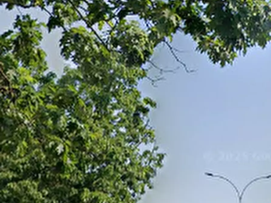 Immagine 14 di Appartamento in vendita  in Via Guido Rossa a Buccinasco